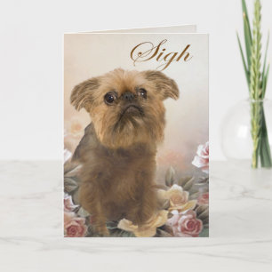 Brosell Griffon Vous Manquant Cartes