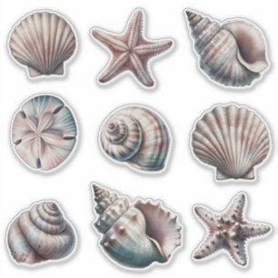 Brouillard Divers Stickers Sea Shell - ensemble 9