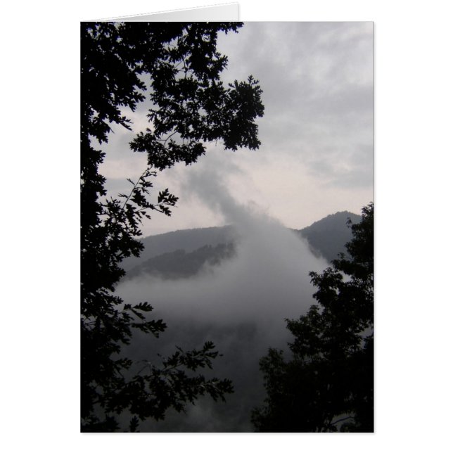 Brouillard levant (Devant)