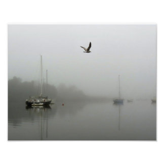 Brouillard matinal avec voiliers Photo Print