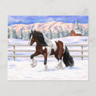 Brown Bay Gypsy Vanner Draft Horse