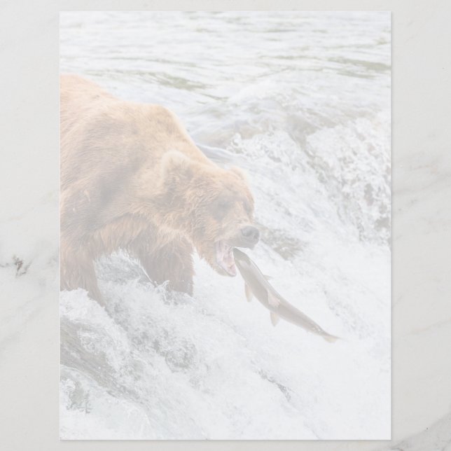 Brown Bear Catches Red Salmon (Devant)