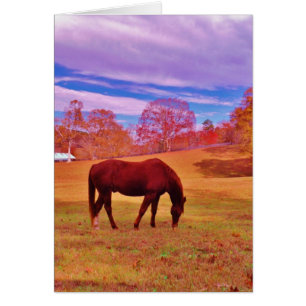 > Brown dans un champ de couleur onirique