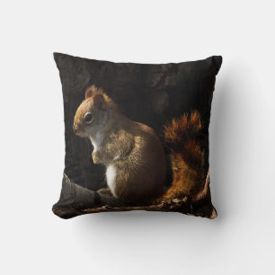 Brown écureuil rouge dans le Coussin extérieur Sun