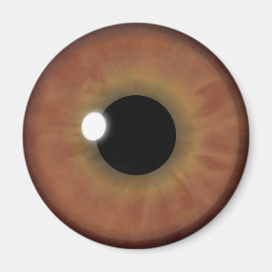 Brown Eye Iris Eyeball Cool Personnalisé Magnets r