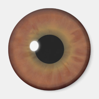 Brown Eye Iris Eyeball Cool Personnalisé Magnets r
