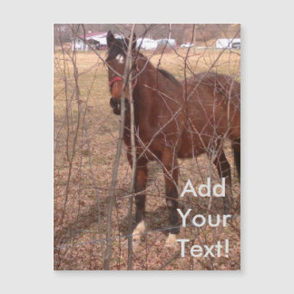 Brown Farm Horse Virginie-Occidentale
