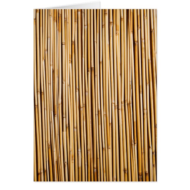 Brown Plante de bambou tropical (Devant)