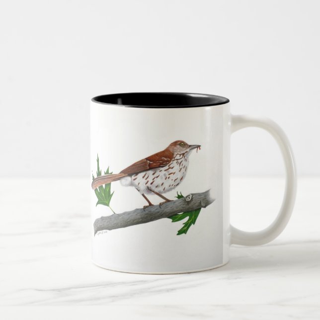 Brown Thrasher Inspiration Mug (Droit)