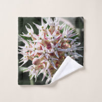 Brumeux blanc, Lait, Photographie Fleur