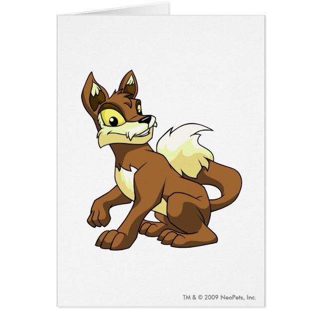 Brun de Lupe (Devant)