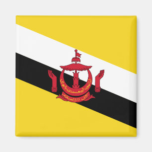 Brunei Flag Magnet