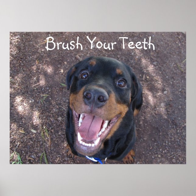 Brush Your Teeth Rottweiler Puppy Poster (Devant)