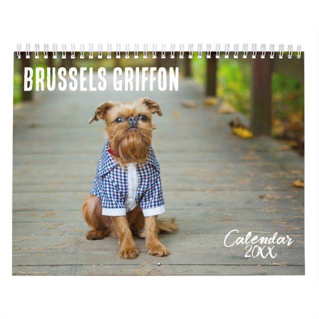 Brussels Griffon calendrier 2026 (Protection)