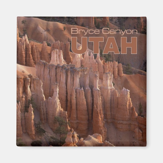 Bryce Canyon Photo Utah Souvenir Frigo Magnets (Devant)