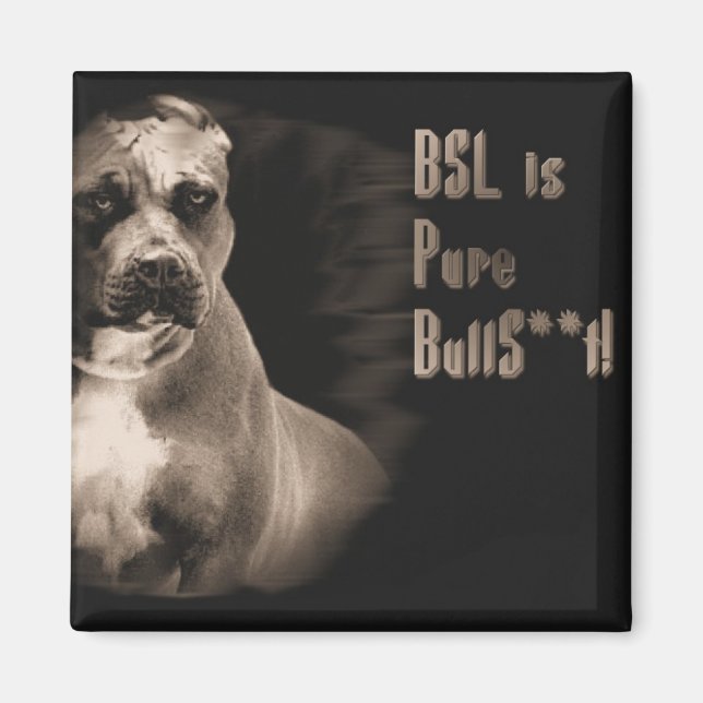 BSL est un aimant carré BS pur (Devant)