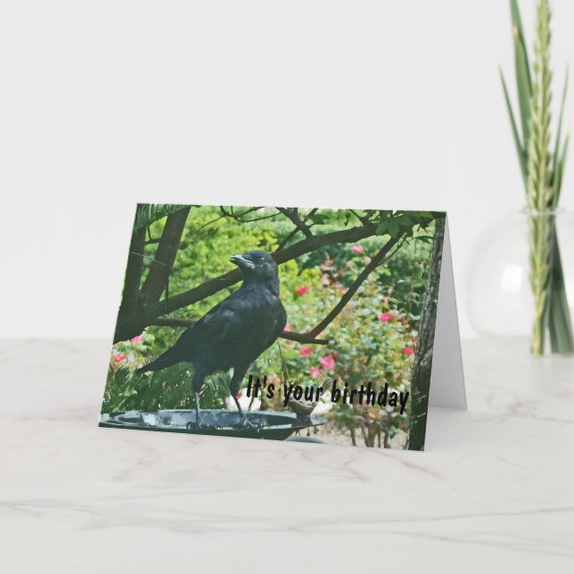 BT - Fundy Crow Carte d'anniversaire (Devant)