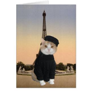 Bubba Kitty à Paris