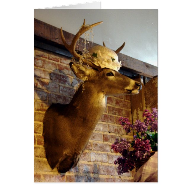 Buck in A Casquette (Devant)