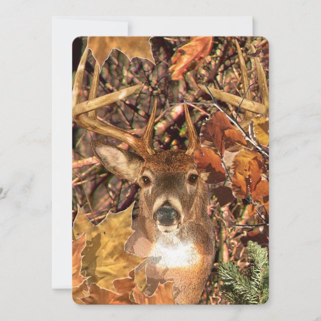 Buck in Camo White Tail Deer (Devant)