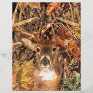 Buck in Hunter Camo White Tail Deer