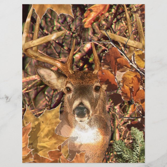 Buck in Hunter Camo White Tail Deer (Devant)