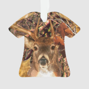 Buck la saison d'automne White Tail Deer