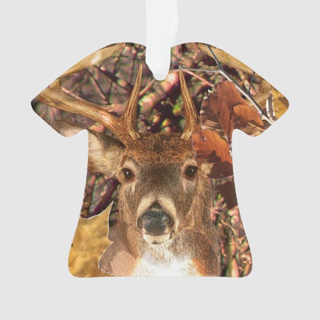 Buck la saison d'automne White Tail Deer (devant)