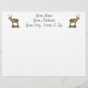 Buck White Tailed