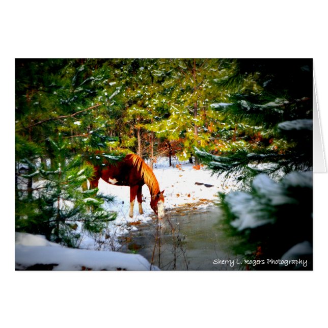~Buckie sur le passe-temps Farm~ de Rogers (Devant horizontal)