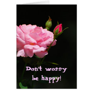 Bud of a rose, Ne vous inquiétez pas, soyez heureu