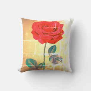 BuddhaToday V1 #11 Coussin de Paix -🌹n Citation (