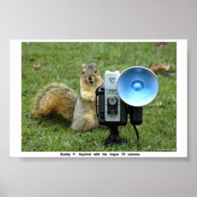 BUDDY P. SQUIRREL POSTER (Devant)