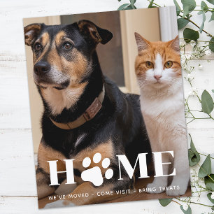 Budget Accueil Personnalisé Animaux de compagnie P