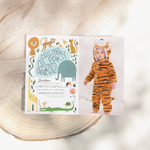 Budget Appeler tous les animaux de parti   Photo d