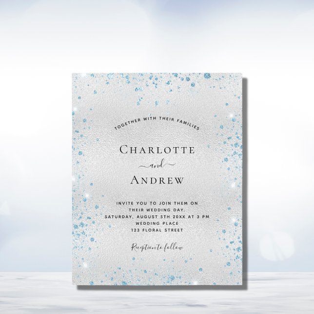 Budget bleu parties scintillant d'hiver mariage (Créateur téléchargé)