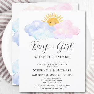 Budget Blue And Pink Genre Reveillez Invitation