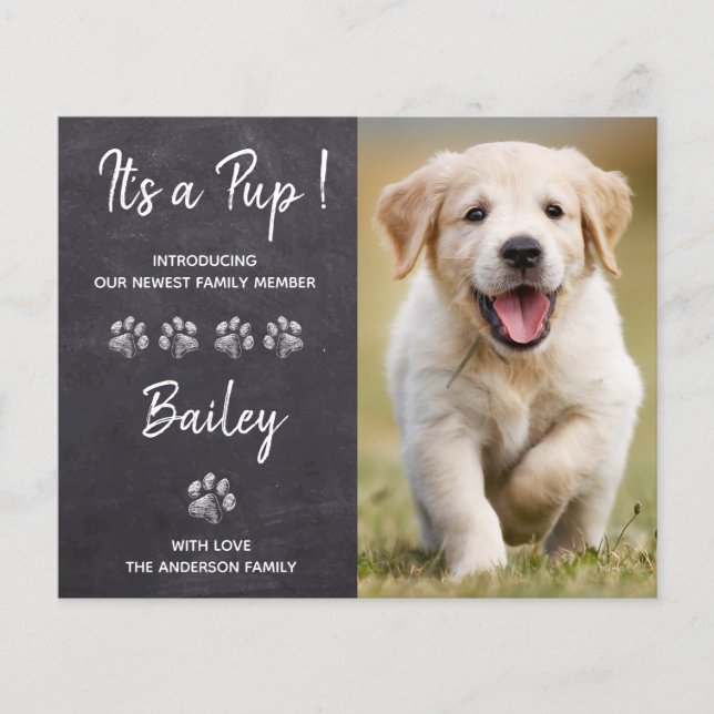 Budget C'est un nouveau Faire-part de chien de mar (Devant)