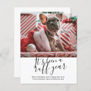 BUDGET C'est une année difficile Noël de chien