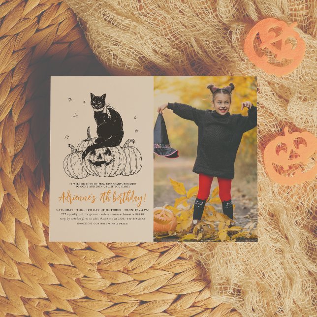 Budget Chat noir Halloween Photo Citrouille Annive (Créateur téléchargé)