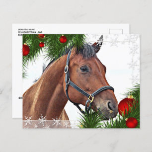 Budget Cheval Noël équine Cute Pony Holiday
