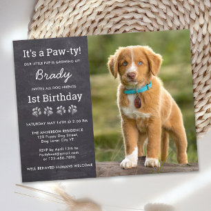 Budget Chien Anniversaire Personnalisé Chiot Photo