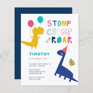 Budget Cute Dinosaur Anniversaire Colorful Party B