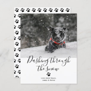 BUDGET Dashing through the Snow Pet Dog Christmas