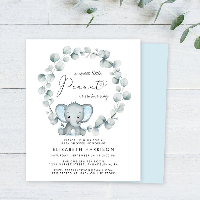Budget Elephant Eucalyptus Baby Boy Shower Invitat (Créateur téléchargé)
