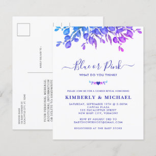 Budget Eucalyptus Baby Genre Révéler bleu rose