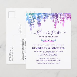 Budget Eucalyptus Baby Genre Révéler Rose Bleu