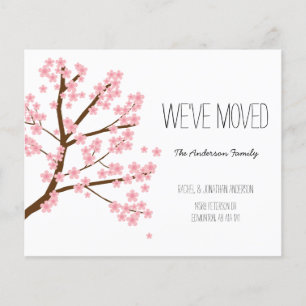 Budget Fleurs de cerisiers Sakura Arbre Nous avons