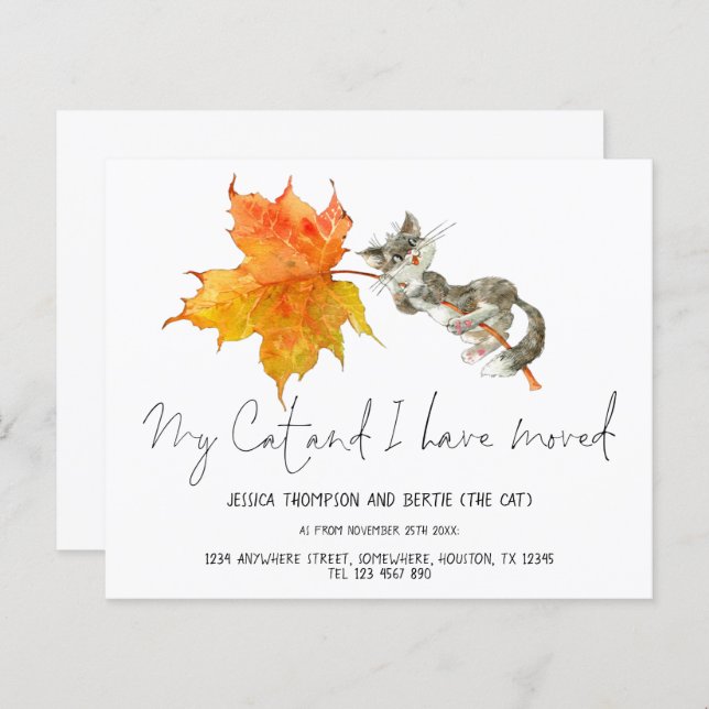 Budget Fun My Cat I have Moving Script New Home (Devant / Derrière)