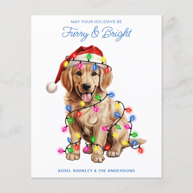 Budget Golden Retriever Dog Furry & Bright Card (Devant)